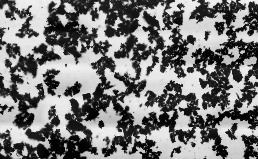 Particles of activated charcoal under a bright-field microscope