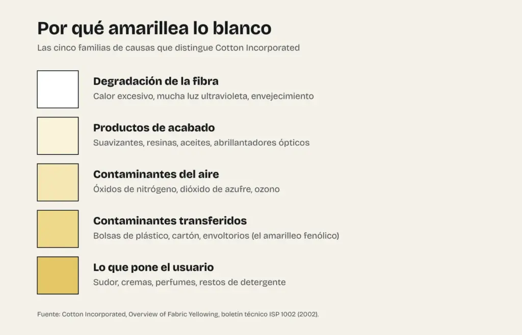 Esquema de las cinco familias de causas del amarilleo de los textiles blancos según Cotton Incorporated: degradación de la fibra, productos de acabado, contaminantes del aire, contaminantes transferidos y contaminantes del usuario