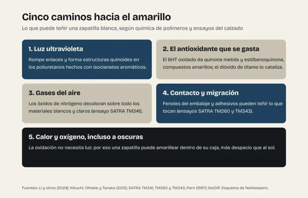 Esquema de cinco causas del amarilleo de una zapatilla blanca: luz ultravioleta, antioxidantes oxidados, gases del aire, contacto con embalajes y adhesivos, y calor y oxígeno