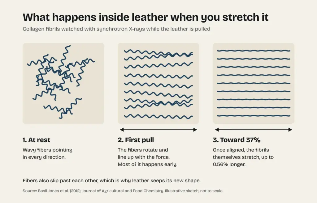 Diagram of collagen fibers in leather at rest, lining up under the first pull and stretching as strain approaches 37 percent