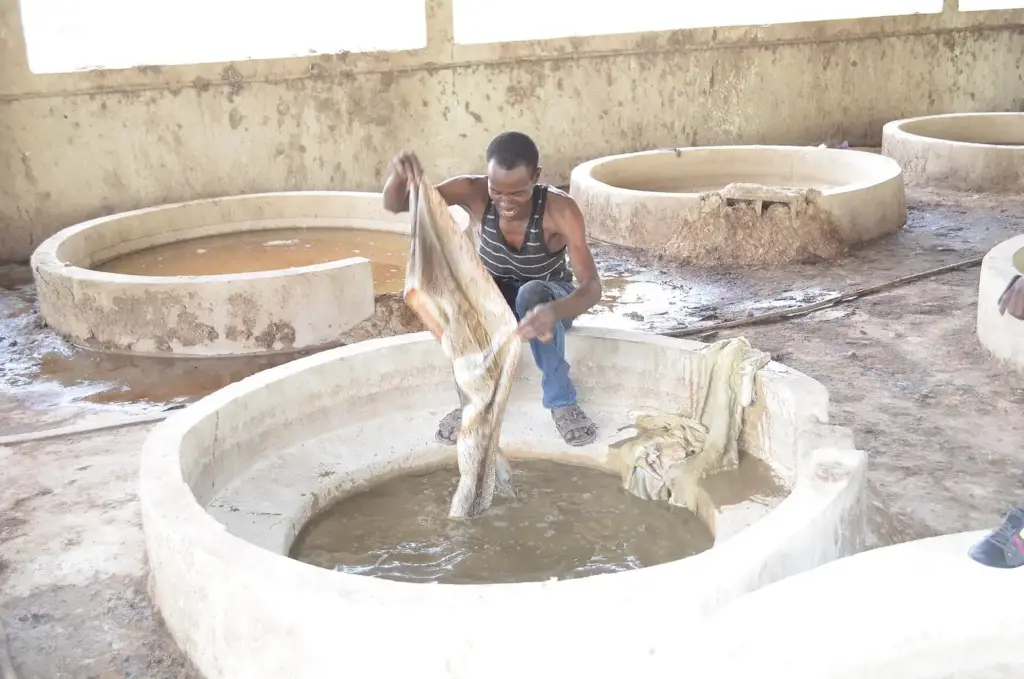 Curtidor de Maroua, en Camerún, sacando una piel de una tina en una curtiduría tradicional