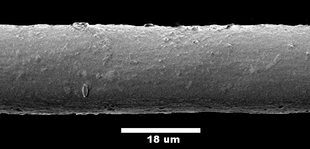 Fibra de poliéster vista al microscopio electrónico