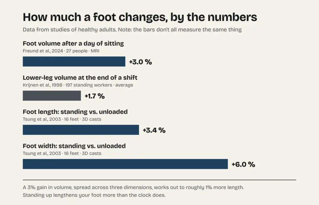 Chart of measured changes in the foot: volume after a day of sitting, lower-leg volume at the end of a shift, and foot length and width standing versus unloaded