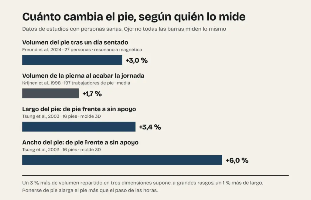 Gráfico con los cambios medidos en el pie: volumen tras un día sentado, volumen de la pierna al acabar la jornada y largo y ancho del pie de pie frente a sin apoyo