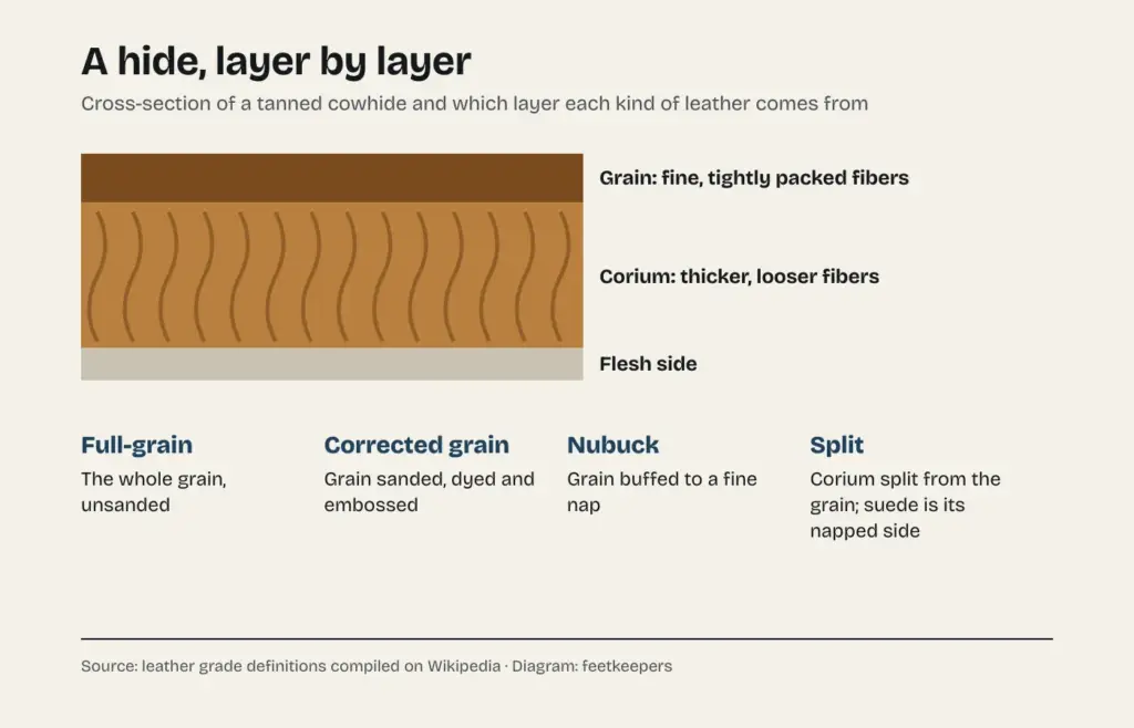 Diagram of the layers of a tanned hide, with the grain on top, the corium below and the flesh side, and which layer full-grain, corrected-grain, nubuck and split leather come from