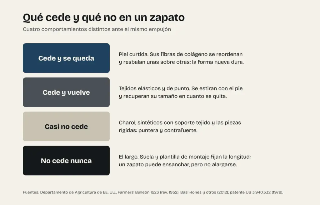 Esquema de qué cede y qué no en un zapato: la piel curtida cede y se queda, los tejidos elásticos ceden y vuelven, el charol y las piezas rígidas casi no ceden y el largo no cede nunca