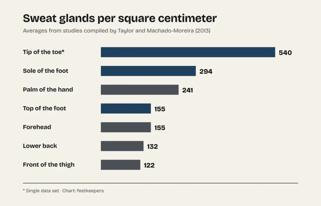 Chart of sweat glands per square centimeter: tip of the toe 540, sole of the foot 294, palm 241, top of the foot 155, forehead 155, lower back 132 and front of the thigh 122