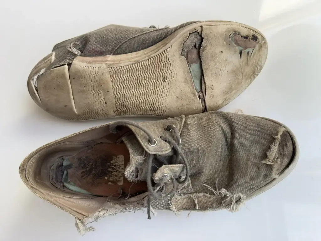 Badly worn canvas sneakers with light-colored soles cracked and peeling away at the toe